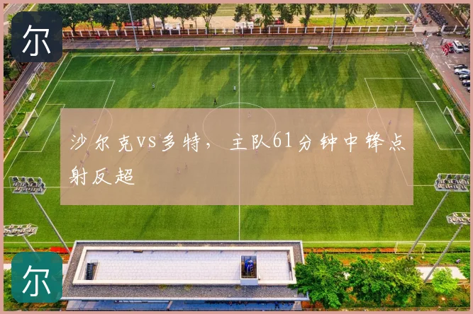 沙尔克vs多特,主队61分钟中锋点射反超